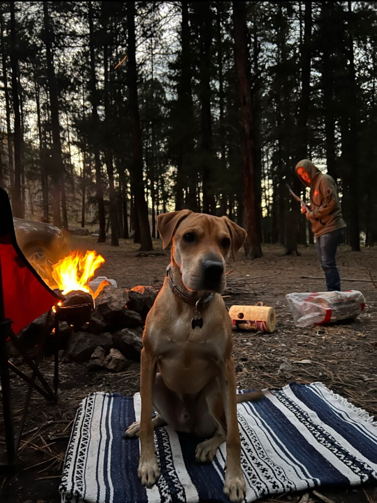 A dog sits on a blanket in front of a campfire.