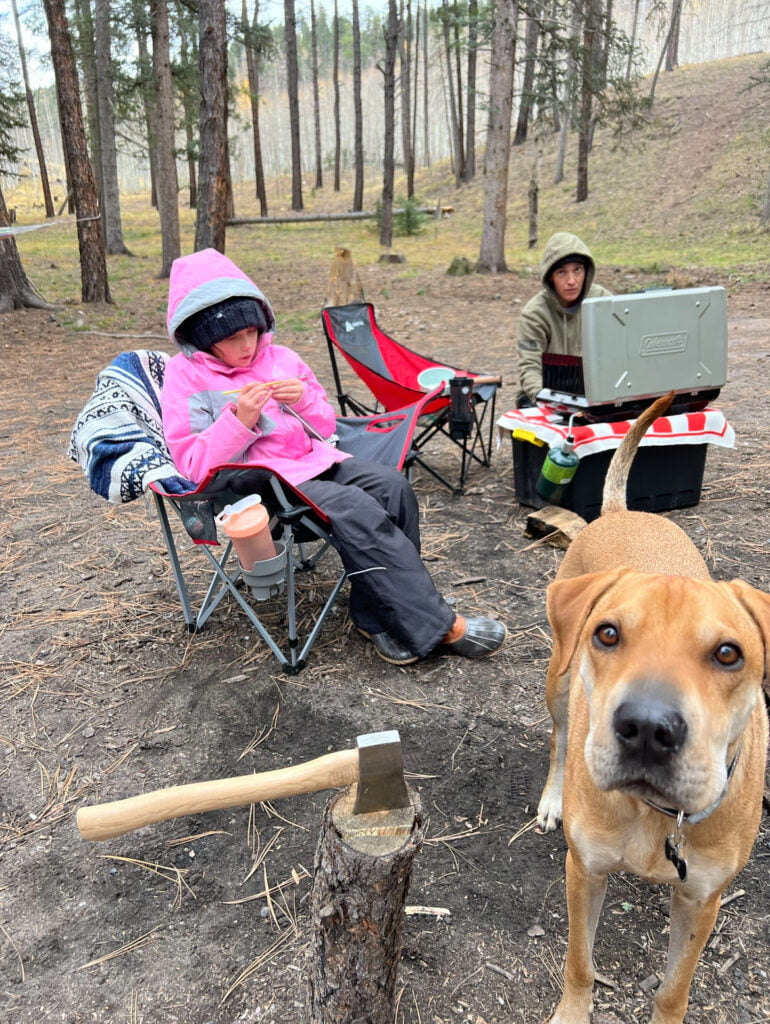 A group of people and a dog in the woods.